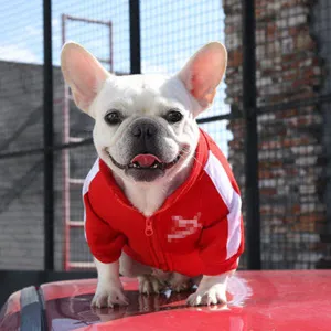 Warm red dog hoodie with white sleeves, cozy pet winter clothes for French Bulldogs and small dogs.