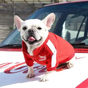 Detailed shot of a cute French Bulldog wearing a cozy red pet hoodie with white stripes outdoors.