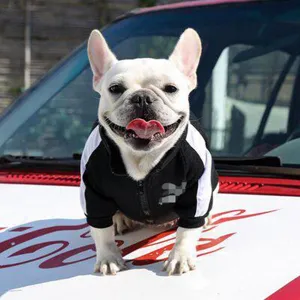 Warm pet hoodie for dogs and cats, black and white color block design, comfortable winter wear.