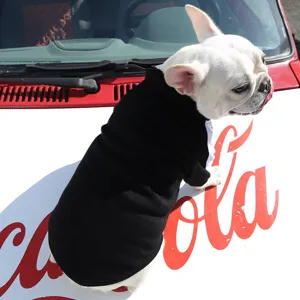 Detail shot of a cute French Bulldog wearing a warm cozy black pet hoodie outdoors.