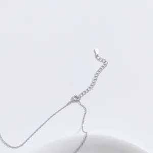 S925 Silber Halskette Verlängerungskette Detail minimalistischer Stil Schmuck Zubehör