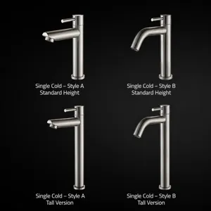 Robinet d'eau froide de bassin en acier inoxydable SUS304 avec quatre styles de variantes.