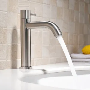 Robinet de Lavabo en Acier Inoxydable Moderne Minimaliste Monocommande Froid Lavabo de Salle de Bain Finition Brossée