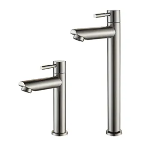 Robinet de Lavabo en Acier Inoxydable Eau Froide Mitigeur Vasque Salle de Bain Pro