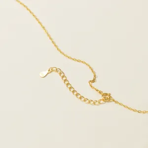 Detalle de collar de plata S925 que muestra la delicada cadena, el cierre seguro y la etiqueta.