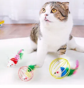 Interactieve katten speelbal met muis en kleurrijke veren in kooi ontwerp voor huisdier.