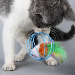 Interactieve katten speelbal met pluche muis aan binnenkant, geluid voor huisdieren.