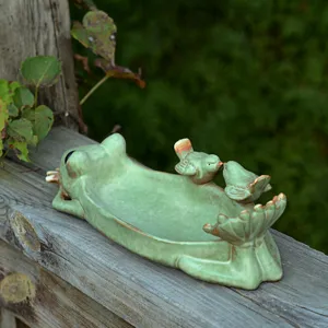 Detailed view of the cute ceramic frog tray featuring charming interactive little birds.