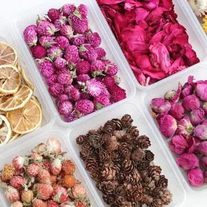 Natural Dried Flowers Bulk Lavender Pine Cones Globe Amaranth For DIY Aromatherapy Candles Wax Melts Craft Party Decor