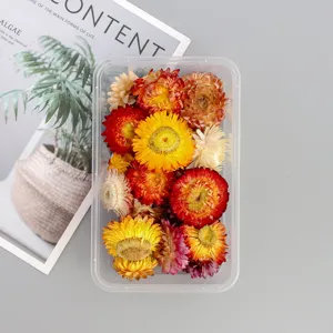 Colorful dried strawflowers in clear box for diy aromatherapy candles and craft decor.