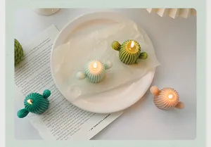 Cactus shaped scented candles set, decorative soy wax candles for home decor and gifts.