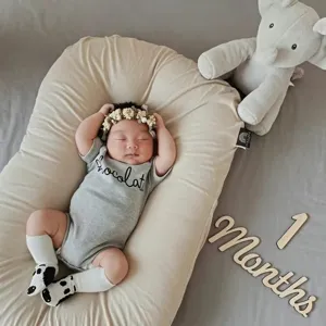 Wooden monthly milestone numbers photography prop for baby newborn birthday party photo shoot decor.