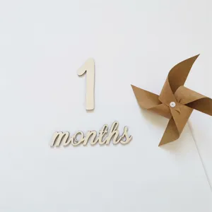 Wooden number month milestone photo props baby first birthday party wall decor set