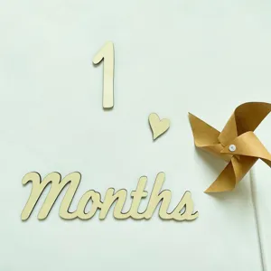 Detail shot of wooden monthly milestone number 1 and months prop with paper pinwheel.