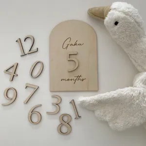 Set di targhe per traguardi mensili per neonati in legno con accessori e peluche.