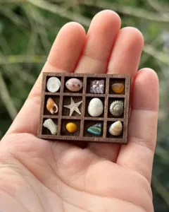 Close-up detail of miniature wooden trinket shelf filled with tiny seashells and stones.
