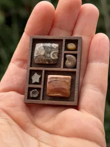 Detailed macro view of a miniature wooden trinket shelf holding tiny fossil specimens.