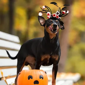 Cerchietto per animali di Halloween con decorazione di bulbi oculari divertenti, regolabile per cani.