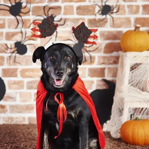 Halloween cerchietto per animali domestici costume divertente corna di diavolo per gatto