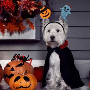 Set cerchietto e mantello di Halloween per animali domestici, costume zucca per cani e gatti.