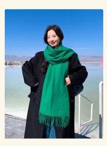 Outdoor detail shot of a bright green winter scarf paired with a black coat by a scenic salt lake.