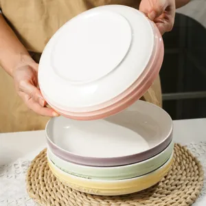 Stylish ceramic dinner plate set for kitchen, colorful pasta and dessert dishes.