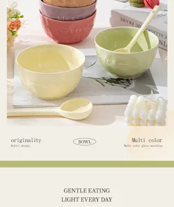 Ceramic rice bowl pastel color aesthetic cute dessert bowl with spoon kitchen tableware