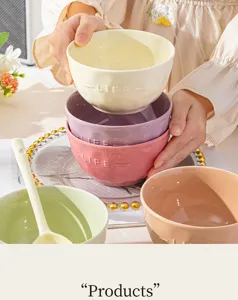 Cream style ceramic rice bowl set, pastel colored dessert bowl with elegant embossed design.