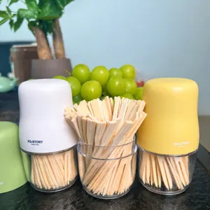 Ensemble de fourches a fruits en bambou jetables dans un flacon portable pour dessert.
