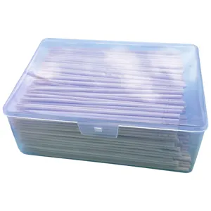 Double ended bamboo toothpicks fruit skewers in clear storage box for snacks and parties