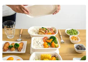 Detailed scene of eco-friendly biodegradable disposable rectangular lunch boxes filled with food.