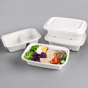 Eco-Friendly Disposable Sugarcane Bagasse Takeout Meal Box Rectangular Food Container With Lid Commercial Restaurant Supplies