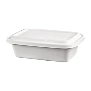 Eco-friendly biodegradable rectangular disposable food container with lid for takeaway use.