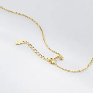 Detailed view of S925 sterling silver gold-plated necklace clasp and extension chain.