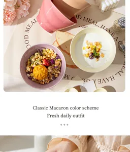 Vue détaillée de bols macaron en céramique avec style de petit-déjeuner de céréales.