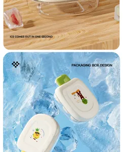 Bandeja de hielo a presión con tapa de dibujos animados y caja transparente para casa.