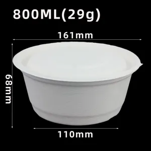 Disposable sugarcane bagasse pulp bowl with lid, 800ml capacity, biodegradable tableware.