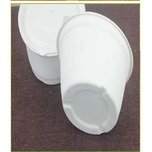 Disposable sugarcane pulp bowl with lid detail view, eco-friendly takeaway food container.