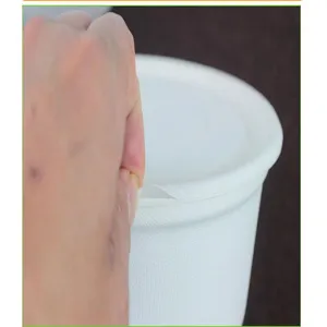 Disposable sugarcane pulp bowl with lid for takeout food soup container eco-friendly white