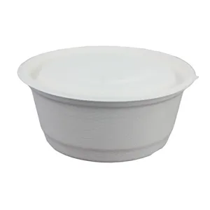 Eco-friendly disposable sugarcane pulp bowl with lid, perfect for takeout and soup food.