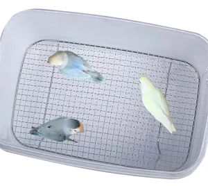 Malla de alambre de acero inoxidable y caja de cría para aves, rejilla de jaula de cría de loros.