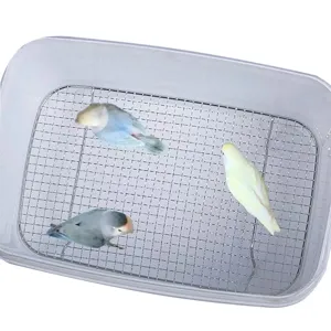 Malla de jaula de cría de aves de acero inoxidable con caja transparente imagen principal