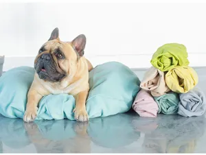 Vista detallada de la funda de cama para mascotas lavable en varios colores para descanso.