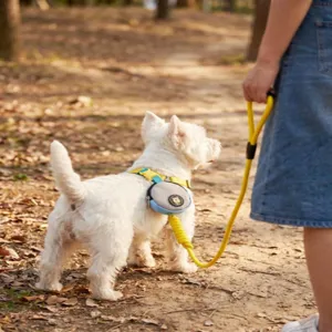 Detail view of the pet poop bag holder and leash set, outdoor usage in natural park.