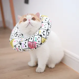 Collier de récupération souple pour animaux, chats et chiens, protection anti-morsure.