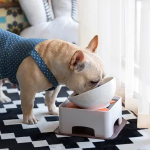 Erhöhter Keramik Hundenapf mit Ständer, ergonomische Futterstation für französische Bulldoggen.