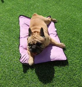 Tappetino da campeggio rosa portatile per cani e gatti, lettino pieghevole morbido all'aperto.