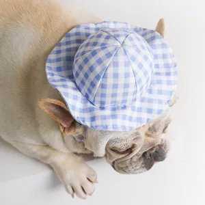 Schöner blau-weißer karierter Haustier-Sonnenhut für Hunde und Katzen, ideal im Sommerfoto.
