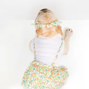 Cute floral dog strap dress summer outfit pet clothes fake two-piece set main display view