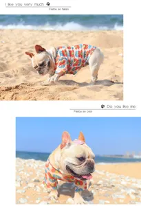 Summer cooling mesh pet T-shirt breathable dog vest cute floral apparel for puppy teddy.